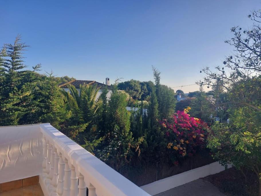 カディス Casa Colibri Costa De La Luzヴィラ エクステリア 写真